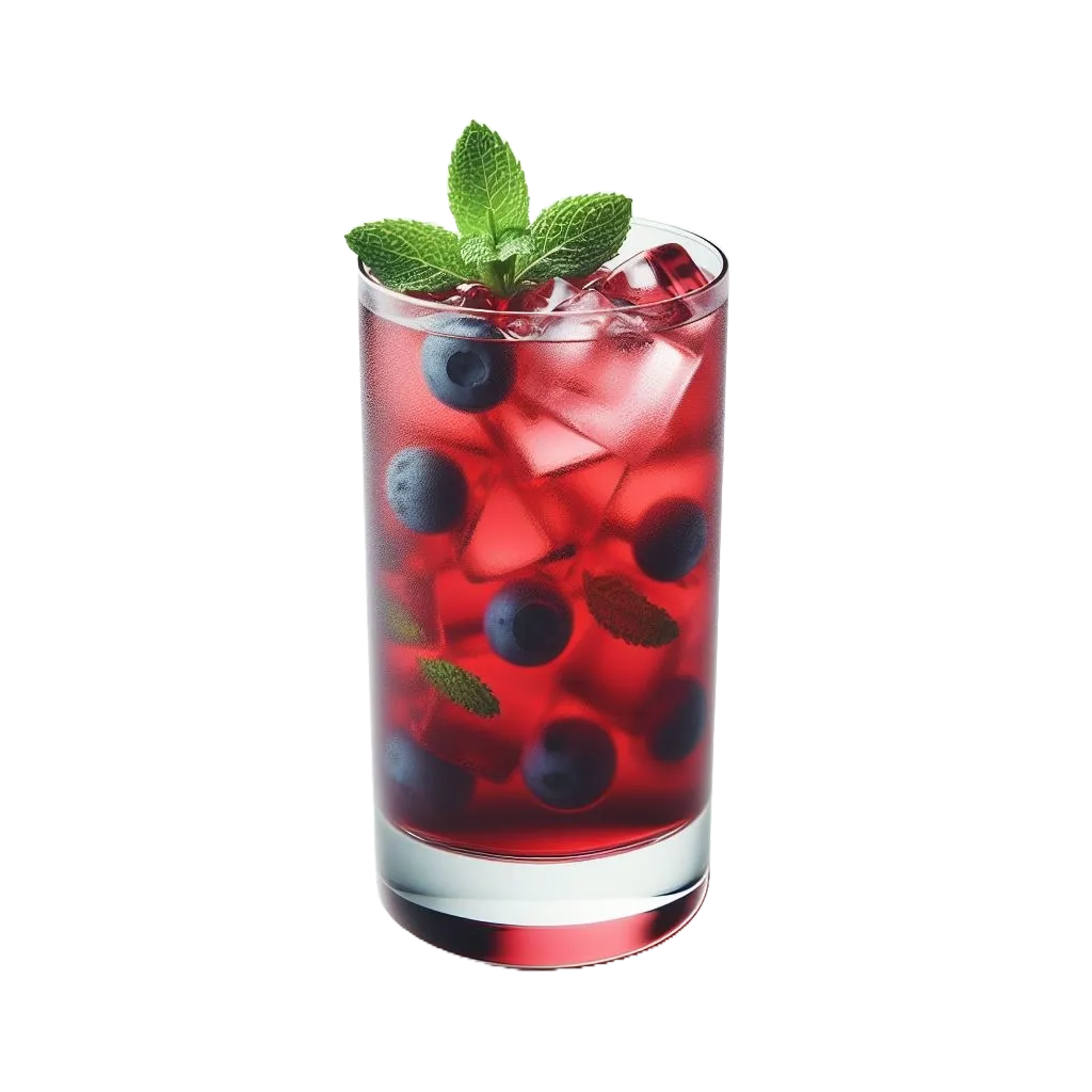 Blueberry Mojito